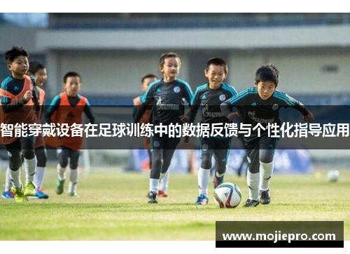 智能穿戴设备在足球训练中的数据反馈与个性化指导应用